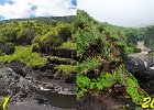 Sacred Pools Comparison